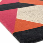 Asiatic Camden orange 4